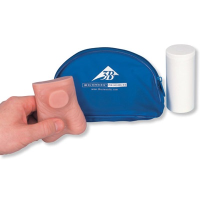 Hoden - Tastmodell in natürlicher Größe