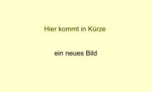 Transparentsatz Nahrungsbeziehungen des Igels