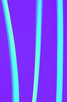 Textilfasern, Basissatz von 6 Einheiten, Lehrerpaket