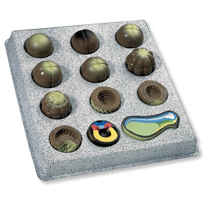 Embryonalentwicklung Grasfrosch (Rana temporaria), 12-teilig