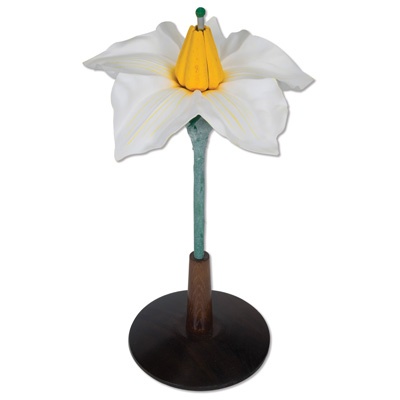 Kartoffelblüte (Solanum tuberosum), Modell