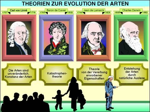 Transparentsatz Theorien zur Evolution der Arten