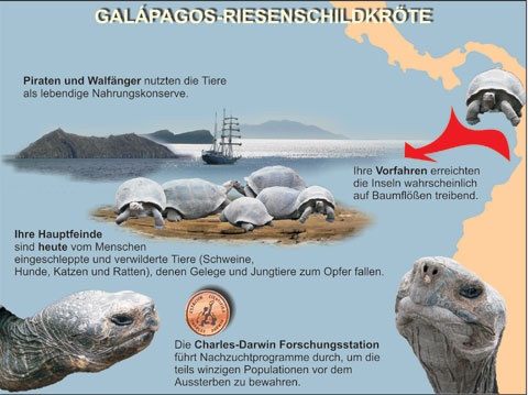 Transparentsatz Evolutionäre Anpassungen