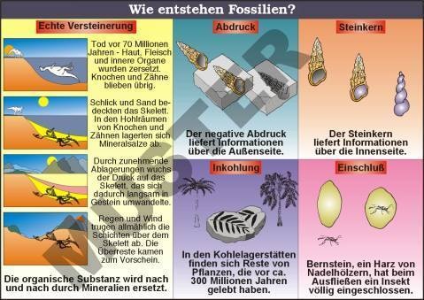Transparentsatz Fossilien und fossile Brennstoffe