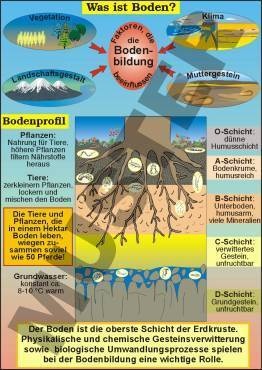 Transparentsatz Was ist Boden ?