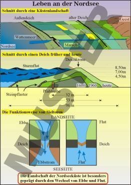 Transparentsatz Leben an der Nordsee