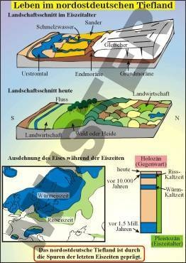 Transparentsatz Leben im Nordostdeutschen Tiefland
