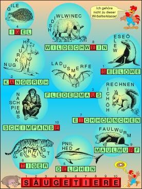 Transparentsatz Rätselspaß Säugetiere