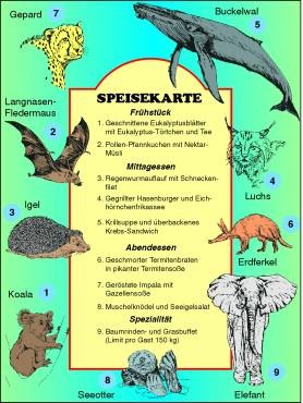 Transparentsatz Die lustige Welt der Säugetiere