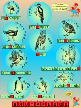 Transparentsatz Rätselspaß Vögel