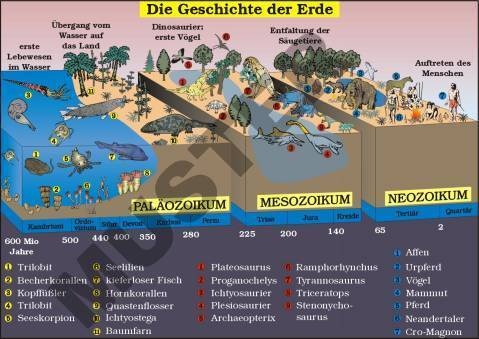Einzeltransparent Die Geschichte der Erde