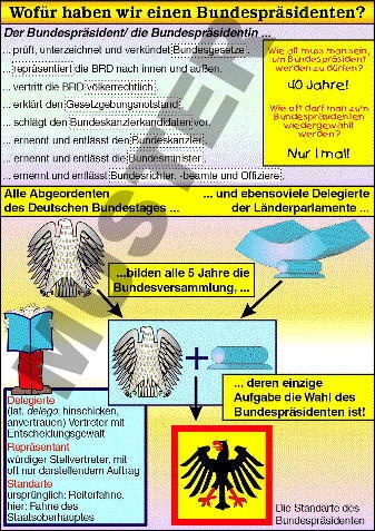 Transparentsatz Wofür haben wir einen Bundespräsidenten?