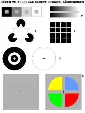 Transparentsatz Sehen mit Augen und Gehirn: Optische Täuschungen