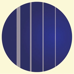 Mehrfachspalte auf Glasträger