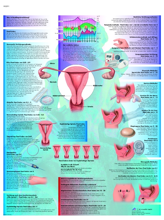 Anatomische Lehrtafel, Empfängnisverhütung