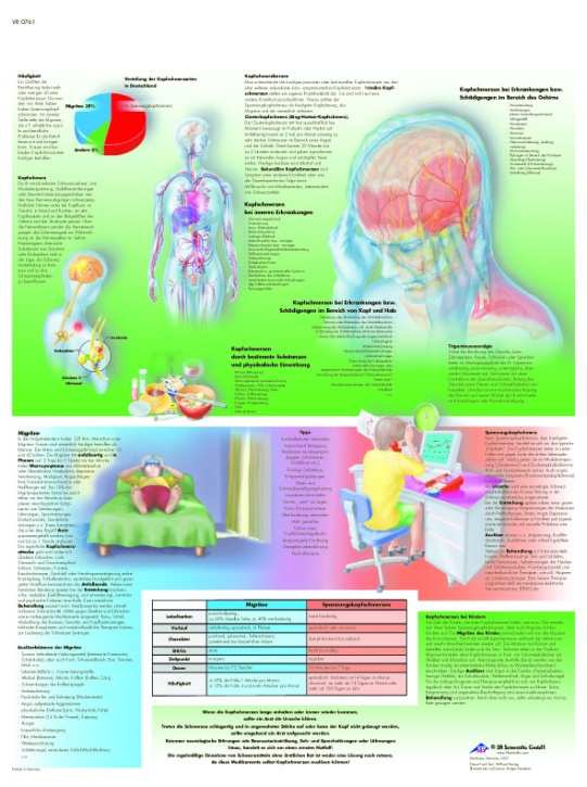 Anatomische Lehrtafel, Kopfschmerz