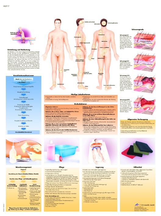 Anatomische Lehrtafel, Dekubitus