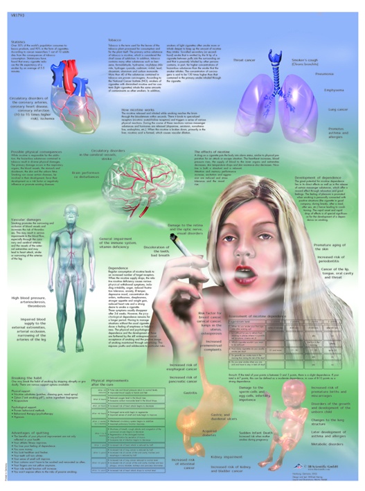 Anatomische Lehrtafel, Nikotinabhängigkeit