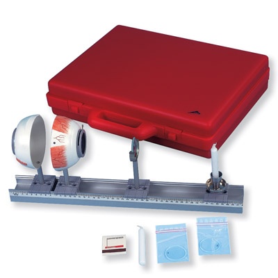 Physikalisches Augenmodell