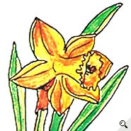 Der Pflanzendetektiv