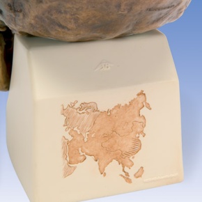 Anthropologischer Schädel - Sinanthropus