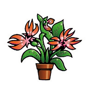 PhonoFit: Endspurt stimmt!