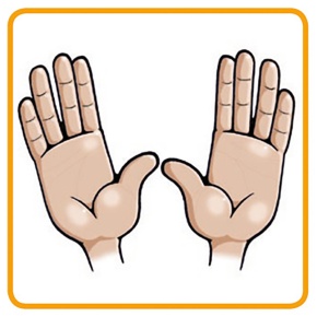 PhonoFit: Eins aus der Mitte heraus ... schon wird etwas anderes