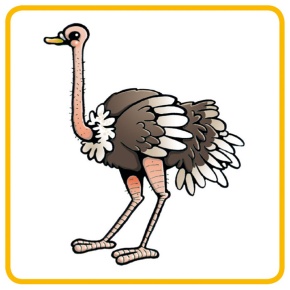 PhonoFit: Eins gleich Zwei ...?