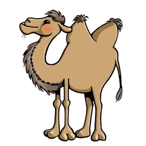 PhonoFit: Ende gleich? ... das reicht!