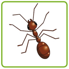 PhonoFit: Ende gut ... Anfang gut!