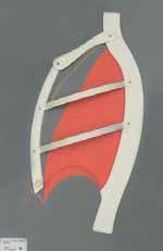 Funktionsmodell, Rippen- und Zwerchfellatmung