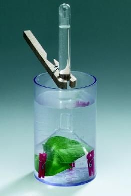 Experimentierbox Naturphänomene