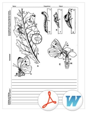 Interaktive Tafelbilder Schädlinge und Nützlinge tabletfähig, Schullizenz
