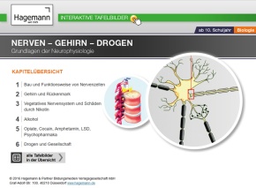 Interaktive Tafelbilder Nerven-Gehirn-Drogen tabletfähig, Schullizenz