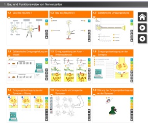 Interaktive Tafelbilder Nerven-Gehirn-Drogen tabletfähig, Schullizenz