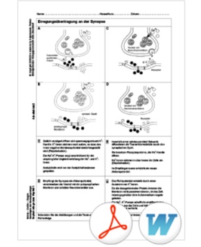 Interaktive Tafelbilder Nerven-Gehirn-Drogen tabletfähig, Schullizenz