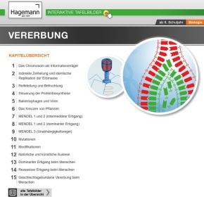 Interaktive Tafelbilder Vererbung tabletfähig, Schullizenz