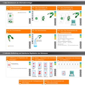 Interaktive Tafelbilder Vererbung tabletfähig, Schullizenz