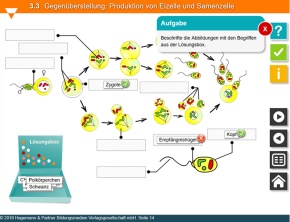 Interaktive Tafelbilder Vererbung tabletfähig, Schullizenz