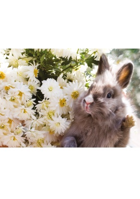 MATHpuzzles Zehnereinmaleins