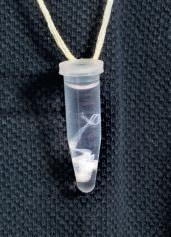 Experimentier-Kit: DNA-Gewinnung