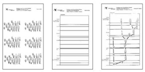 Stammbusch des Tierreichs + Evolution einer Foraminiferengruppe