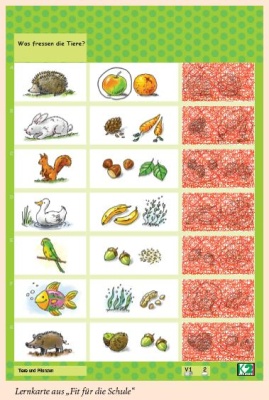 Max Lernkarten,  Fit für die Schule