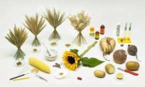 Experimentierkoffer Landwirtschaftliche Nutzpflanzen