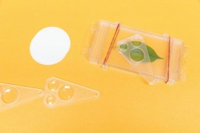 Gerätesatz Natur und Umwelt