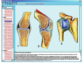 Skelett, Muskulatur und Bewegungsapparat des Menschen, Interaktive CD-ROM