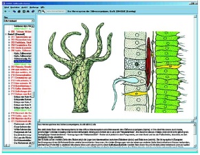 Das Wunder der Pflanzenzelle, Interaktive CD-ROM
