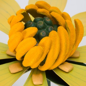 Scharbockskrautblüte (Ficaria verna), Modell