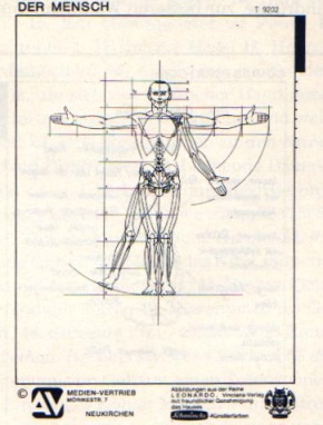Transparentmappe Der Mensch