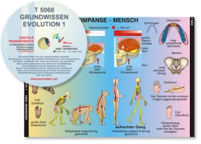 Digitale Folien auf CD - Der Mensch